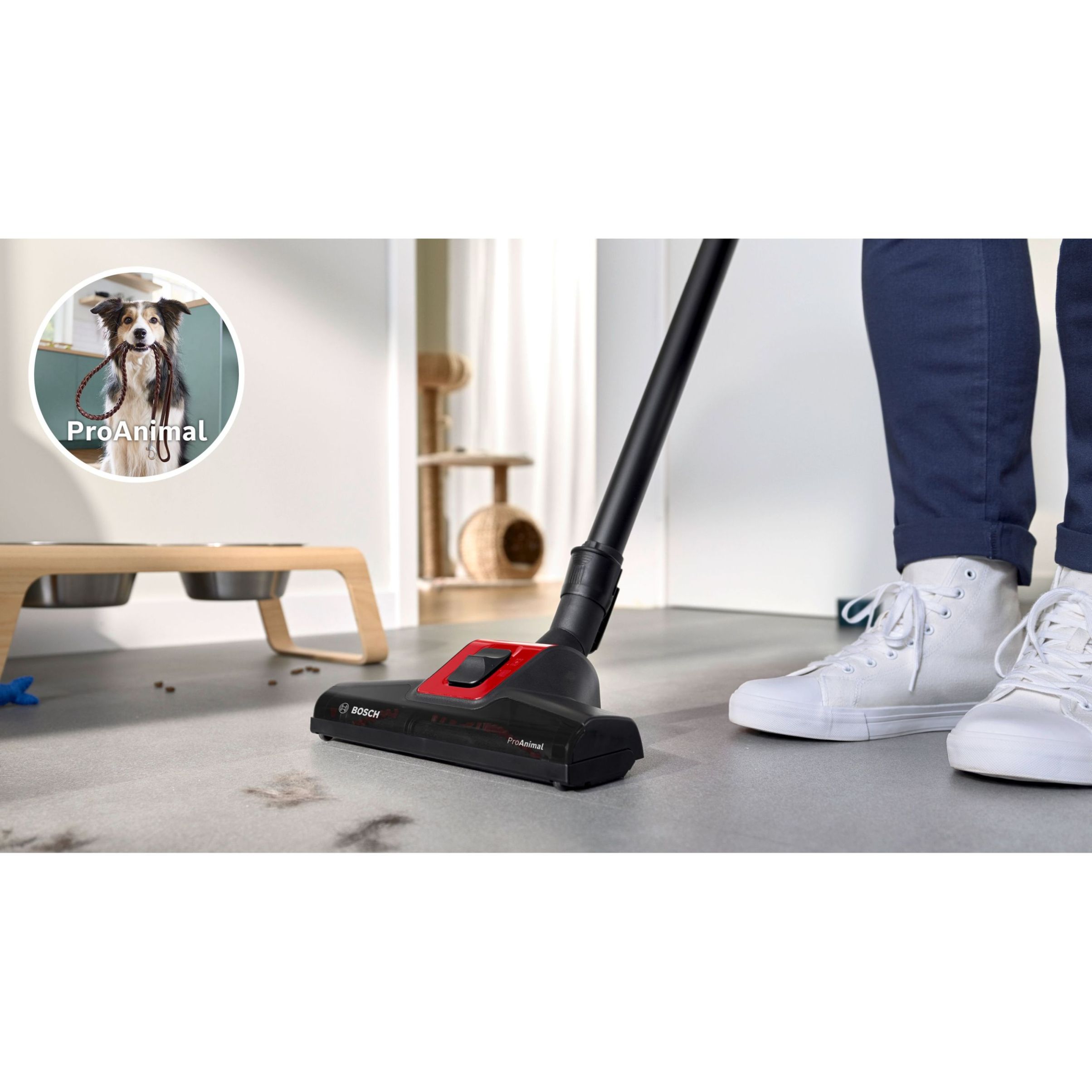 Aspirator cu sac BOSCH Serie 4 ProAnimal BGB41PET1