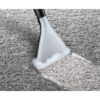 Aspirator multifuncțional cu sac BOSCH Serie 4 AquaWash&Clean BWD421PET, Vârf 2100W, Nominală 1400W, Praf 2.5l, Rezervor 5l, Cablu 9m, 85dBA, Filtru igienic HEPA, G8.7kg, Tornado Red/Carbon Black