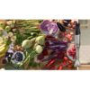 Blender de mână BOSCH Serie 6 ErgoMaster MSM6M824