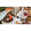 Robot de bucătărie planetar BOSCH Serie S2 MUMS2 MUMS2AW21, 700W (4 trepte), Bol plastic 3.8l, Set de patiserie, Soft Start, Design compact, Control electronic al puterii, G4.4kg, Fully White